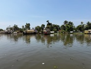 IMG_7480.jpeg