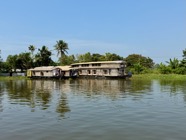 IMG_7481.jpeg