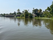 IMG_7485.jpeg