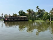 IMG_7486.jpeg