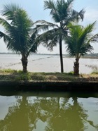 IMG_7491.jpeg