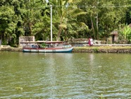 IMG_7506.jpeg