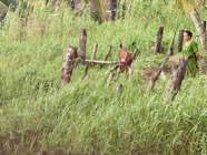 IMG_7518.jpeg