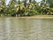 IMG_7510.jpeg
