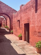 IMG_5532.jpeg
