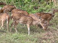 IMG_7168 2.jpeg