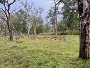 IMG_7193 2.jpeg