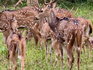 IMG_7196 2.jpeg