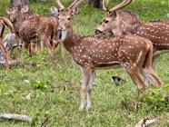IMG_7200 2.jpeg