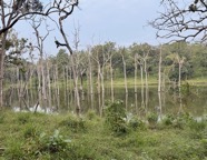 IMG_7210 2.jpeg