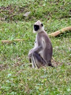 IMG_7206 2.jpeg