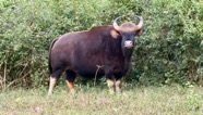 IMG_7232 2.jpeg