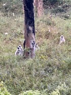 IMG_7239 2.jpeg