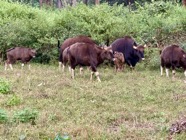 IMG_7226 2.jpeg