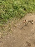 IMG_7277.jpeg