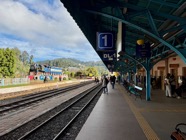 IMG_7301.jpeg