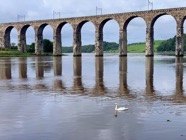 IMG_2557.jpeg