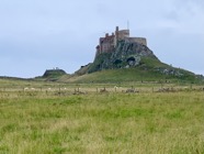 IMG_2571.jpeg