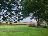 IMG_2575.jpeg