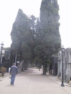 page1562-1001-full.jpg