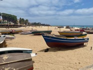 IMG_6303.jpeg