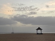 IMG_6315.jpeg