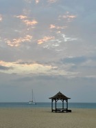 IMG_6325.jpeg