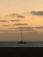 IMG_6359.jpeg