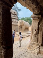 IMG_7963.jpeg