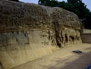 IMG_7991.jpeg