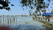 IMG_7376.jpeg