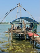 IMG_7372.jpeg