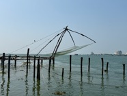 IMG_7377.jpeg