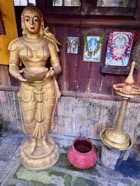 IMG_7384.jpeg