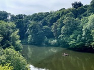 IMG_6762 2.jpeg