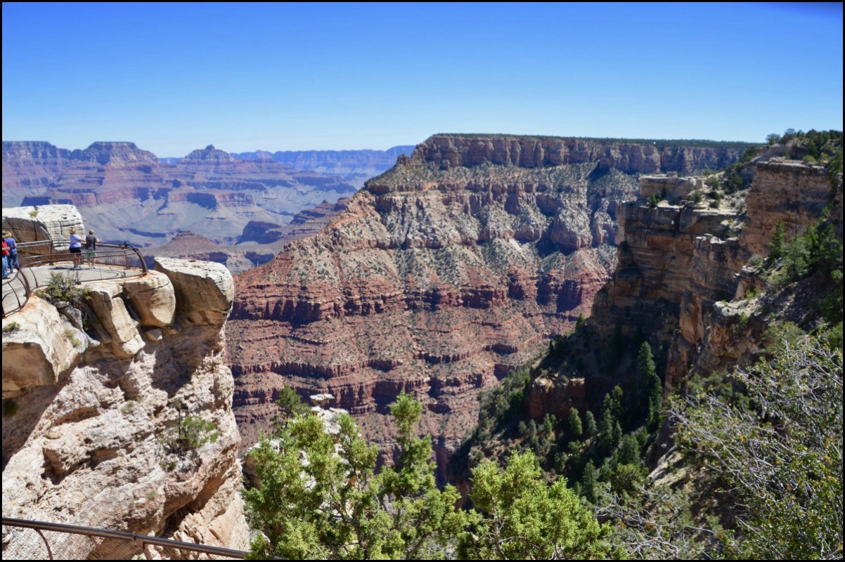 Stacks Image 3143350