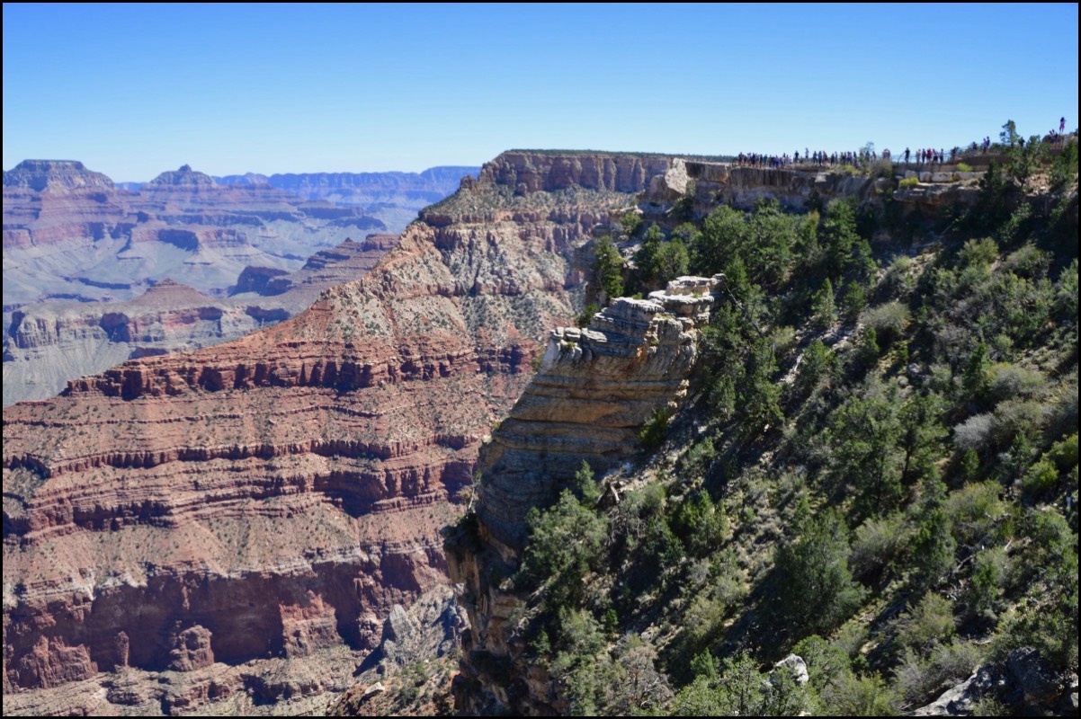 Stacks Image 6168
