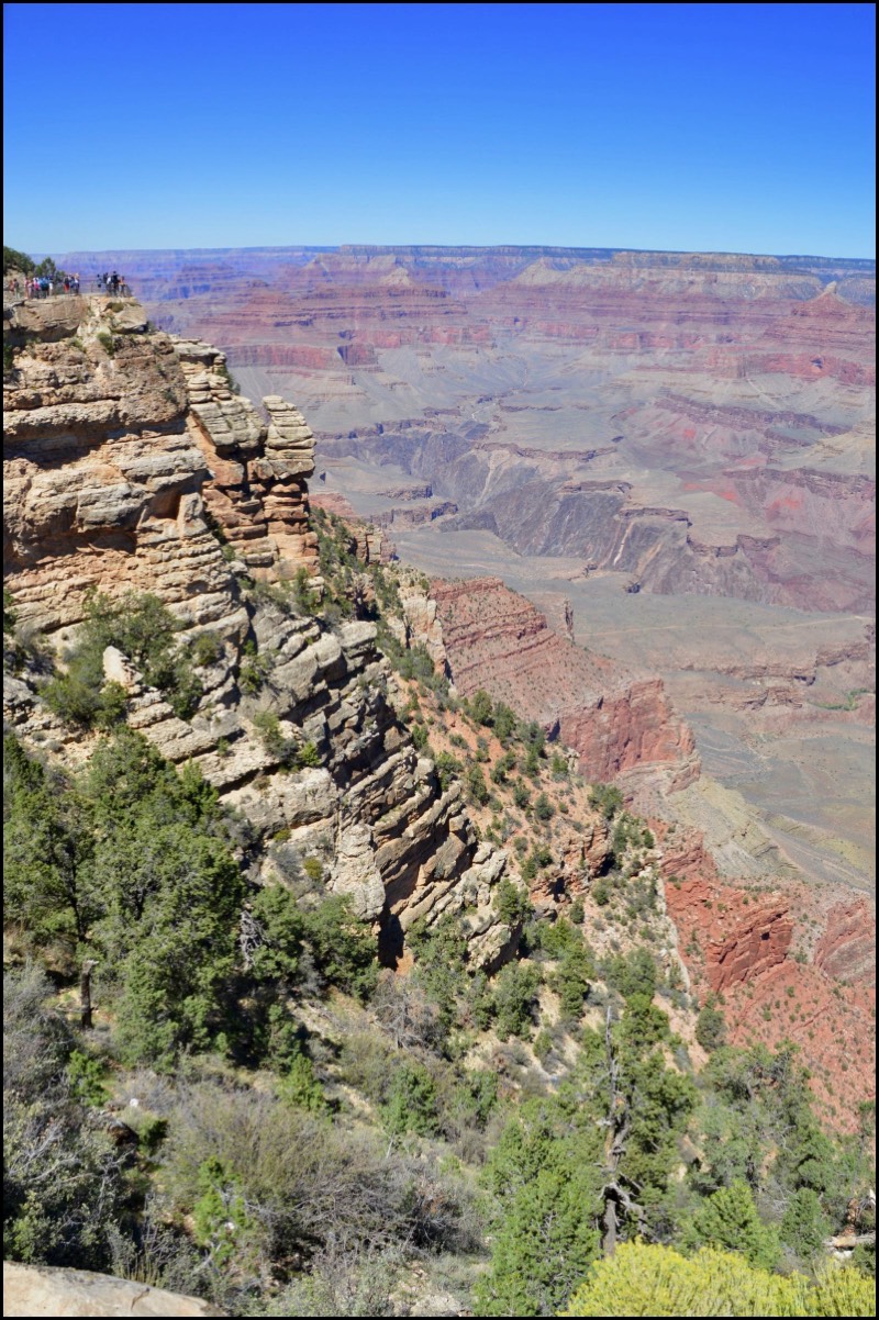 Stacks Image 4072