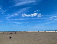 IMG_6687 (1).jpeg