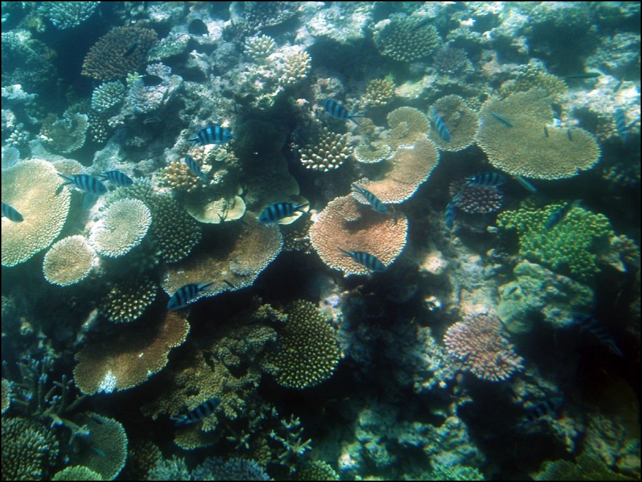 Stacks Image 6168