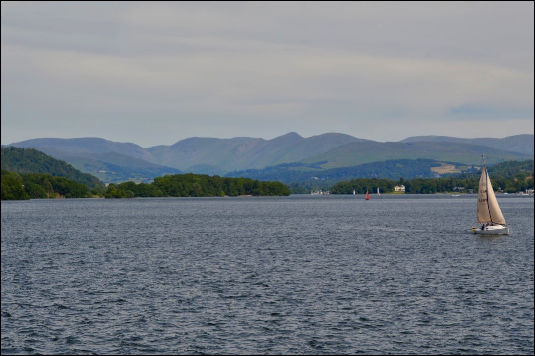 Stacks Image 4076