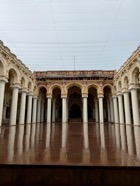 IMG_7746.jpeg