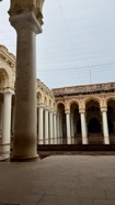 IMG_7745.jpeg