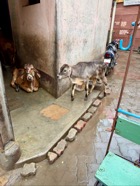 IMG_7791.jpeg