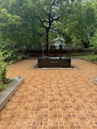 IMG_7799.jpeg