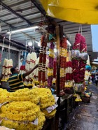 IMG_7052.jpeg