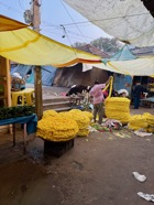 IMG_7055.jpeg