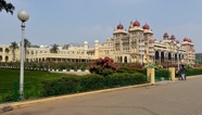IMG_7074.jpeg