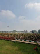 IMG_7080.jpeg
