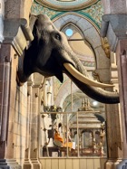 IMG_7085.jpeg
